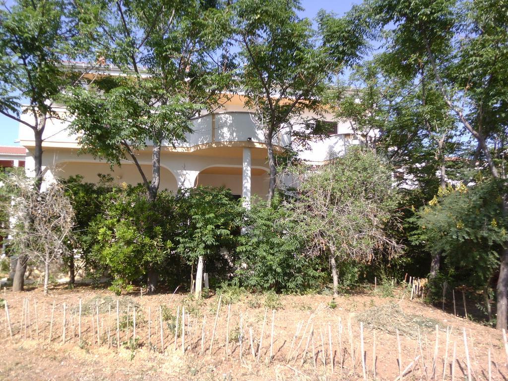 Apartments Kresimir Beauty With Shadow Trees And Parking Place Pag Town Dış mekan fotoğraf