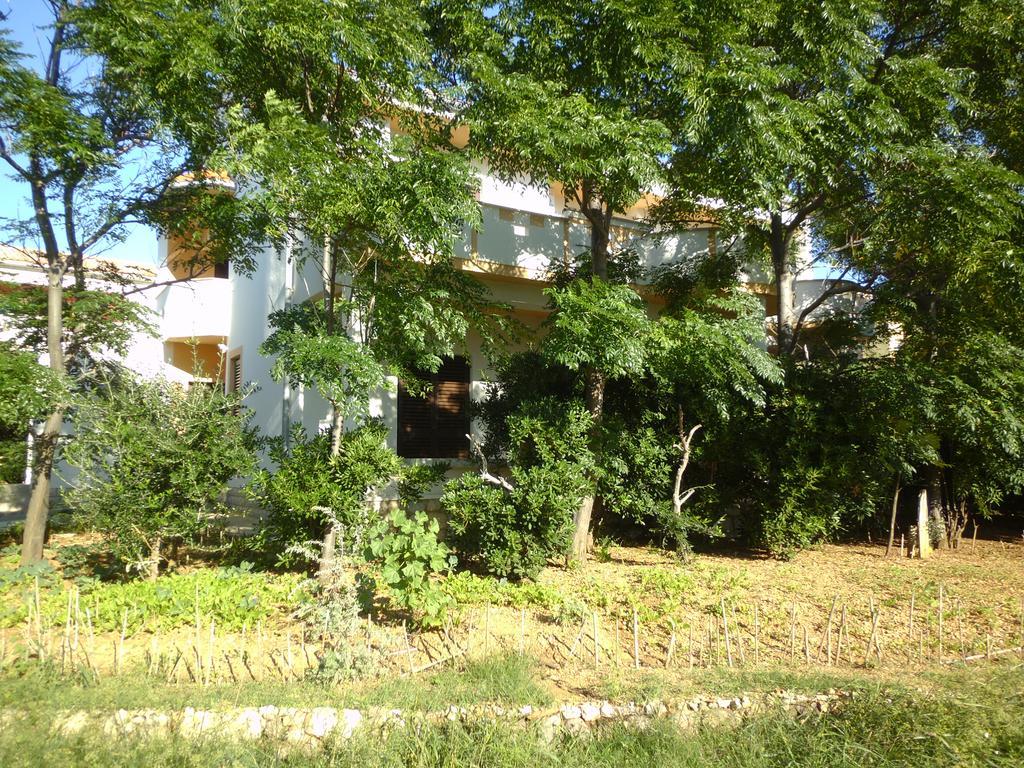 Apartments Kresimir Beauty With Shadow Trees And Parking Place Pag Town Oda fotoğraf