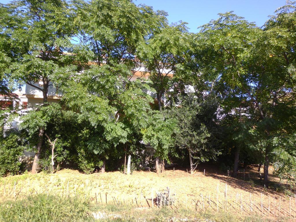 Apartments Kresimir Beauty With Shadow Trees And Parking Place Pag Town Dış mekan fotoğraf