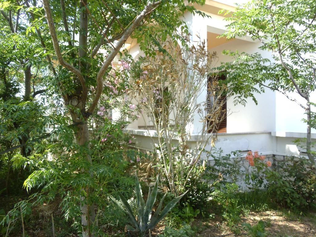 Apartments Kresimir Beauty With Shadow Trees And Parking Place Pag Town Oda fotoğraf