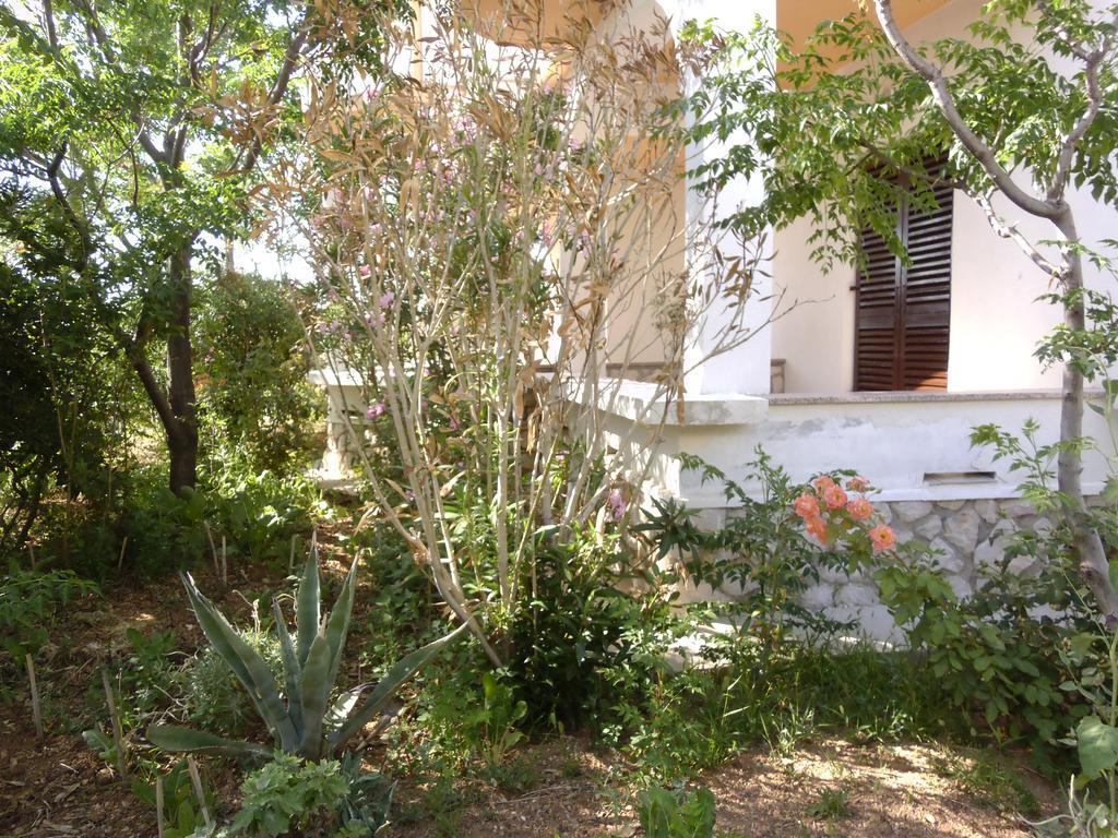 Apartments Kresimir Beauty With Shadow Trees And Parking Place Pag Town Oda fotoğraf